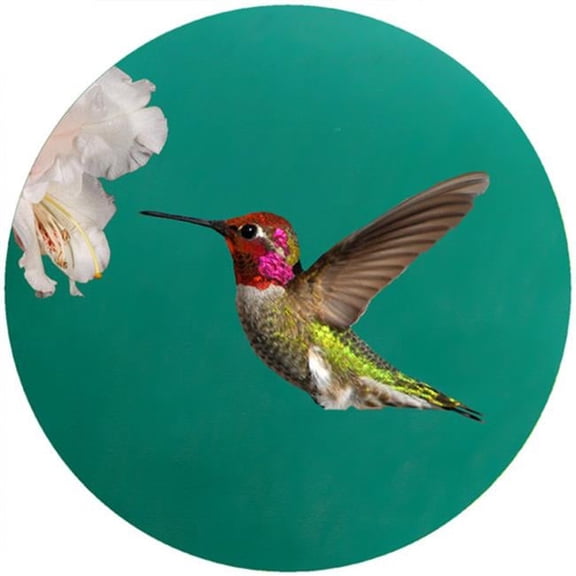 Custom Annas Hummingbird Jar Opener - 3 Pack
