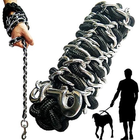 Dog Leash Metal Leashes Chain Rope with Pet Collar Training Walking Leads Heavy Duty Anti Bite 360 Hook for Medium and Large Dogs (Small)