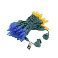 thumbnail image 3 of Novelty Lights 70 Light C6 LED Christmas Mini Light Set, Commercial Grade Outdoor String Lights, Blue/Orange, Green Wire, 24 Feet, 3 of 8