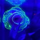 thumbnail image 4 of Adorno de coral para acuario con efecto brillante, decoración de coral, plantas de resina para pecera, decoración para paisaje de acuario, 4 of 8