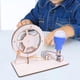 thumbnail image 5 of Paquete de modelo de experimento de ciencia proyecto de construcción educativo Hugo tablero ocupado, 5 of 10