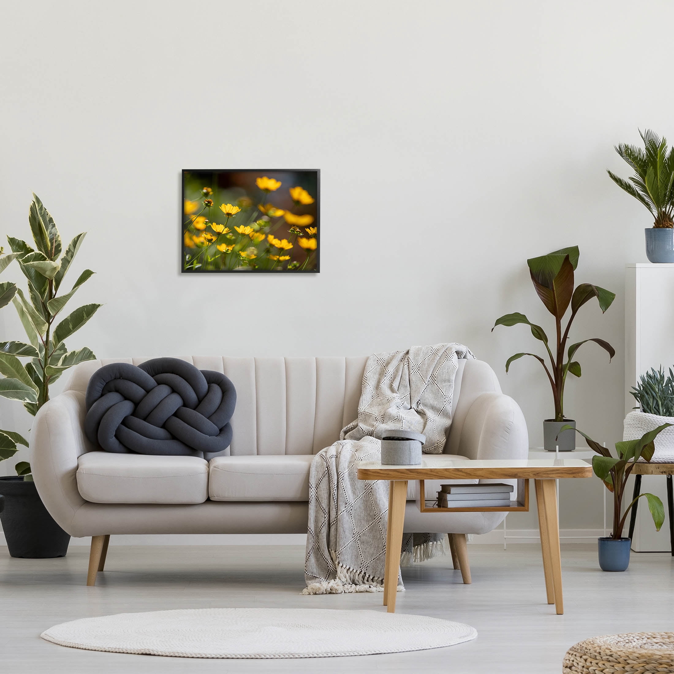 Yellow Daisy Wildflower Field Botanical & Floral Photograph Black Framed Art Print Wall Art