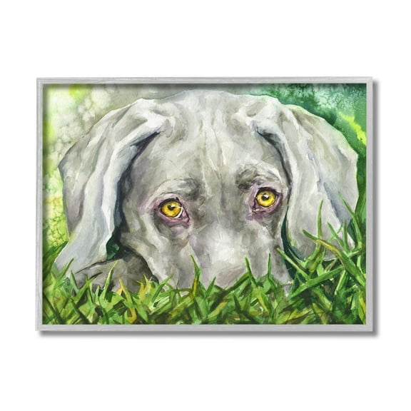 Stupell Industries Weimaraner Puppy Dog Resting In Green Grass Grey Framed, 11 x 14, Design by George Dyachenko