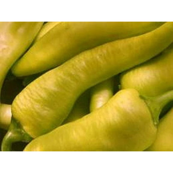 Pepper Sweet Hungarian Wax Heirloom Vegetable Bulk by Seed Kingdom 1 Lb Seeds