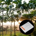 thumbnail image 5 of Bolsas de Protección para Frutas Unique Bargains No Tejida 10x8' Blanco Paquete de 100, 5 of 5