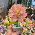 thumbnail image 4 of Children Creative Flower Building Block Kit Toys ABS Immortal Potted Plant Assembling Ornaments Set Birthday Christmas Gifts, 4 of 4