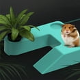 thumbnail image 4 of BRIGHTFUFU Accesorios Para Terrarios De Reptiles Con Comedero Integrado Y Plataforma Para, 4 of 8