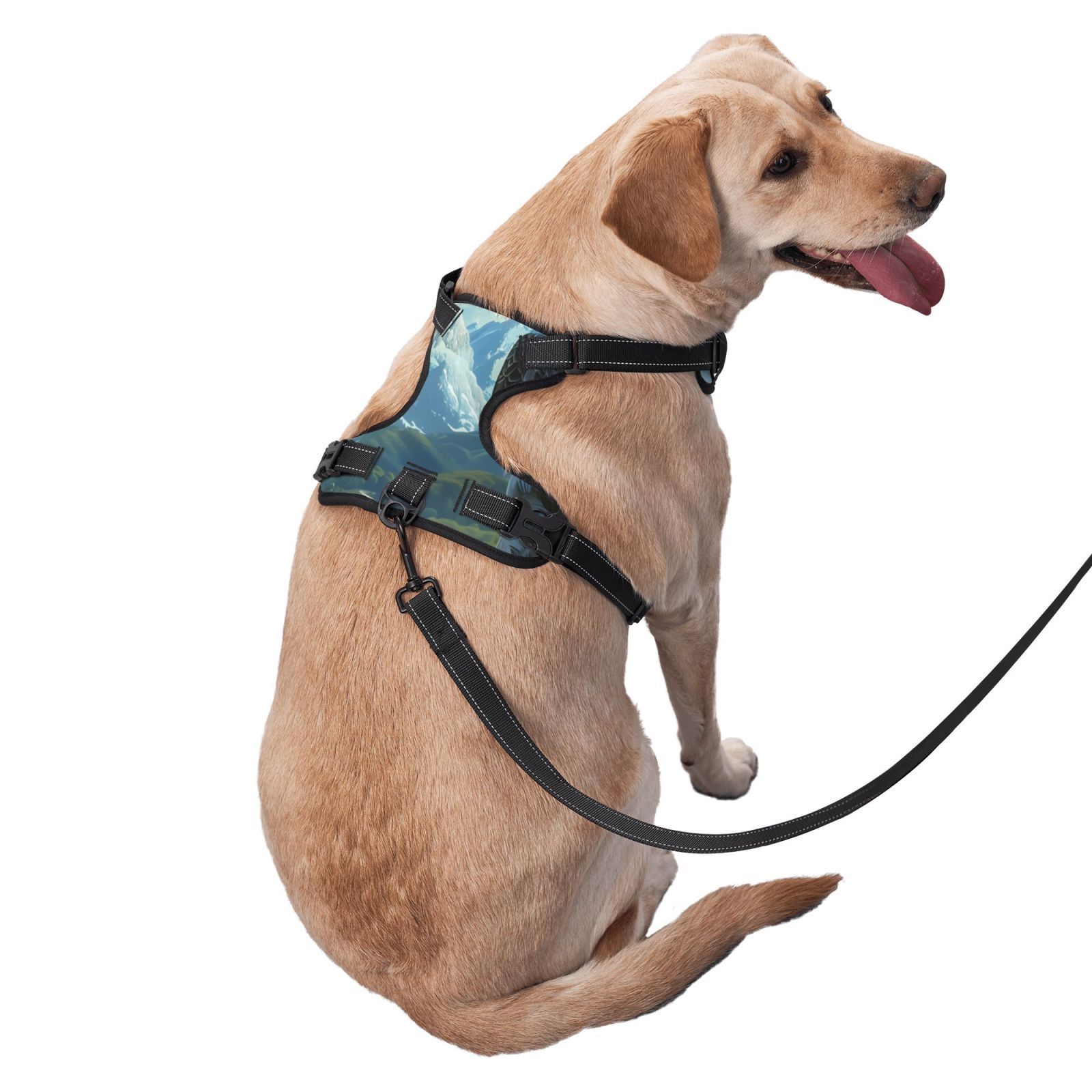 Vsdgher Majestic Eagle Over Castle Dog Harness, No-Pull Pet Harness, Dog Vest, Pet Vest for Small to Large Dogs-Large