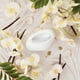 thumbnail image 4 of Perfume Ariana Grande MOD Vanilla Eau De Parfum 10 ml, 4 of 4