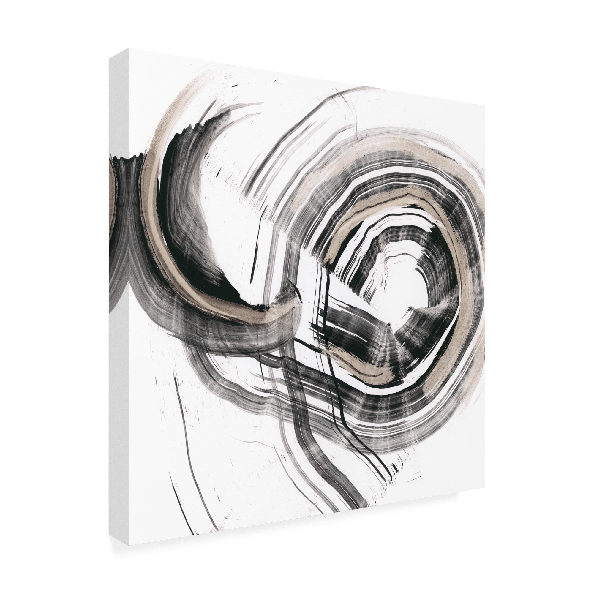 Trademark Fine Art 'Circulation Strokes' Canvas Art by Ethan Harper