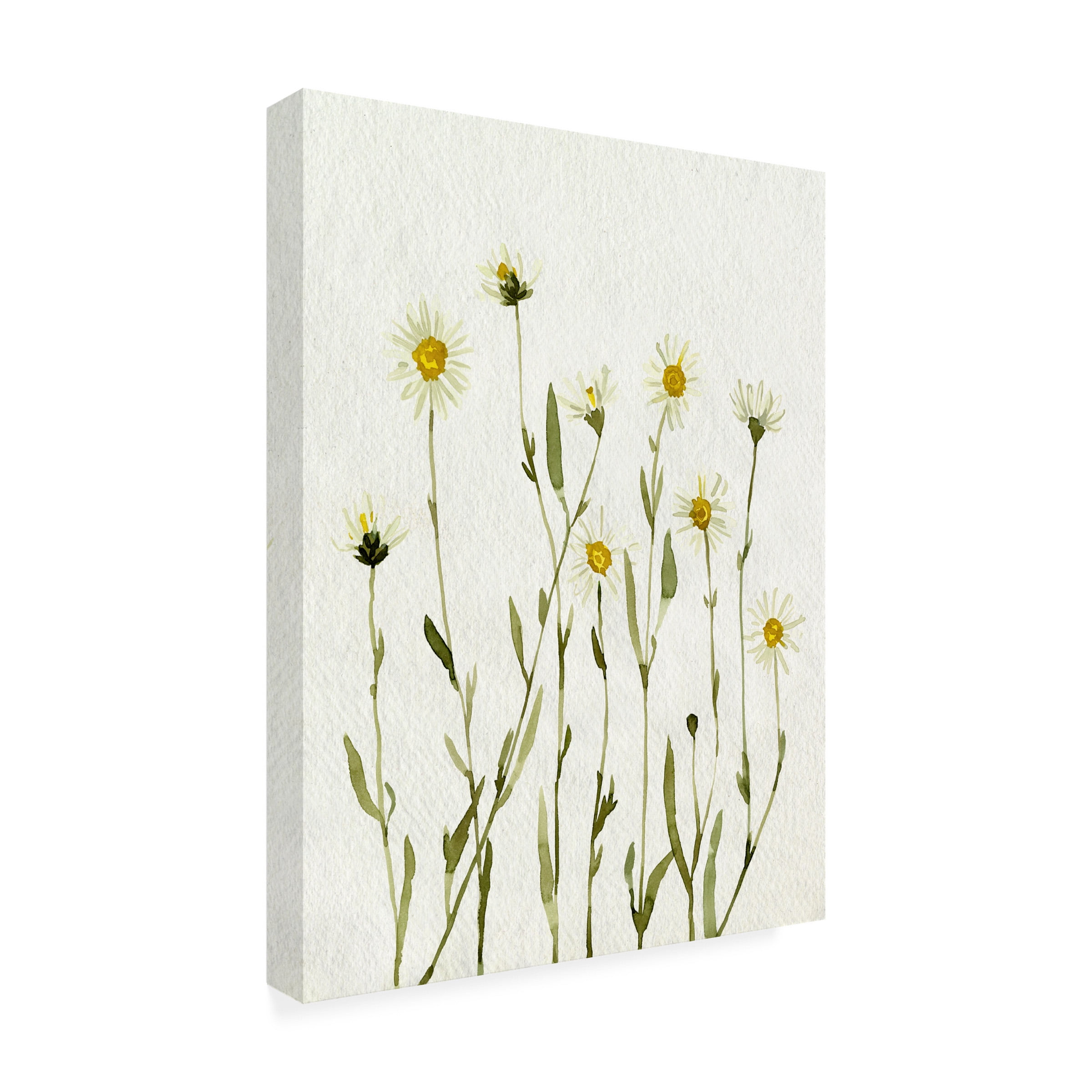 Emma Caroline 'White Antique Daisies II' Canvas Art