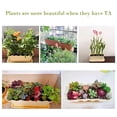 thumbnail image 6 of CoreLiving Rectangle Window Boxes Planters, 16 Inch Long Planter Box for Windowsill, Deck Railing Planter Boxes for Outdoor Plants, Herb and Mint Plastic Pot, 1 Pack, 6 of 10