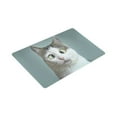 thumbnail image 3 of MKHERT Funny Cat Animals Doormat Rug Home Decor Floor Mat Bath Mat 30x18 inch, 3 of 3