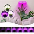 thumbnail image 4 of Led Plant Growth Lamp Usb Full Spectrum Lifting Light Plant Fill Light Led Plant Growth Lamp (17-60CM), 4 of 10