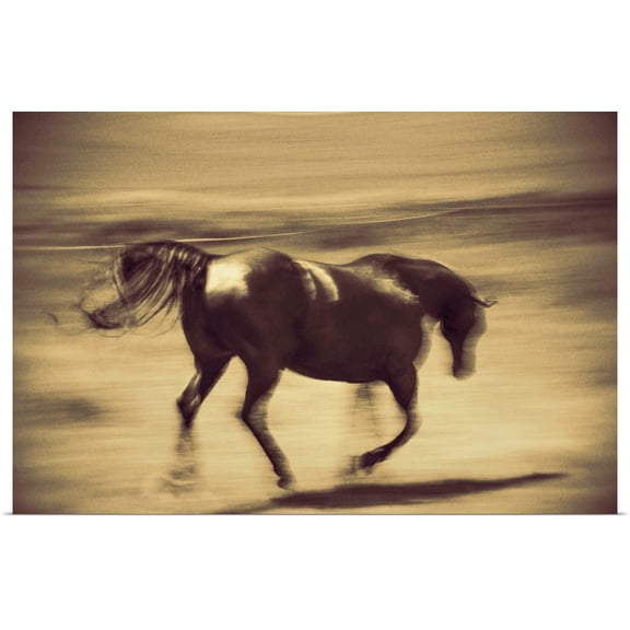 Great BIG Canvas | Rolled Scott Stulberg Poster Print entitled Running horse on a farm in the Palouse, Washington