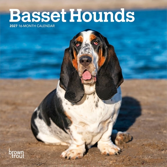 Basset Hounds | 2027 7x14" (Hanging) Wall Calendar