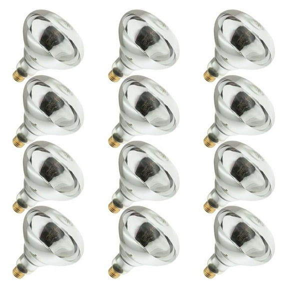Infrared Heat Lamp Bulbs 250W R40 - 12 Pack - 120V E26 Base - 5000 Hour Life - Reflector Heat Lamps for Reptiles, Brooding, & Warming