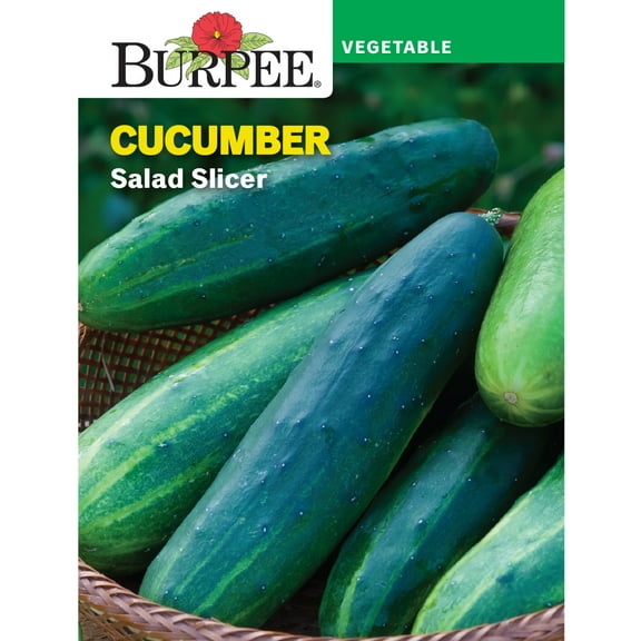 Burpee Salad Slicer Cucumber Vegetable Seed, 1-Pack