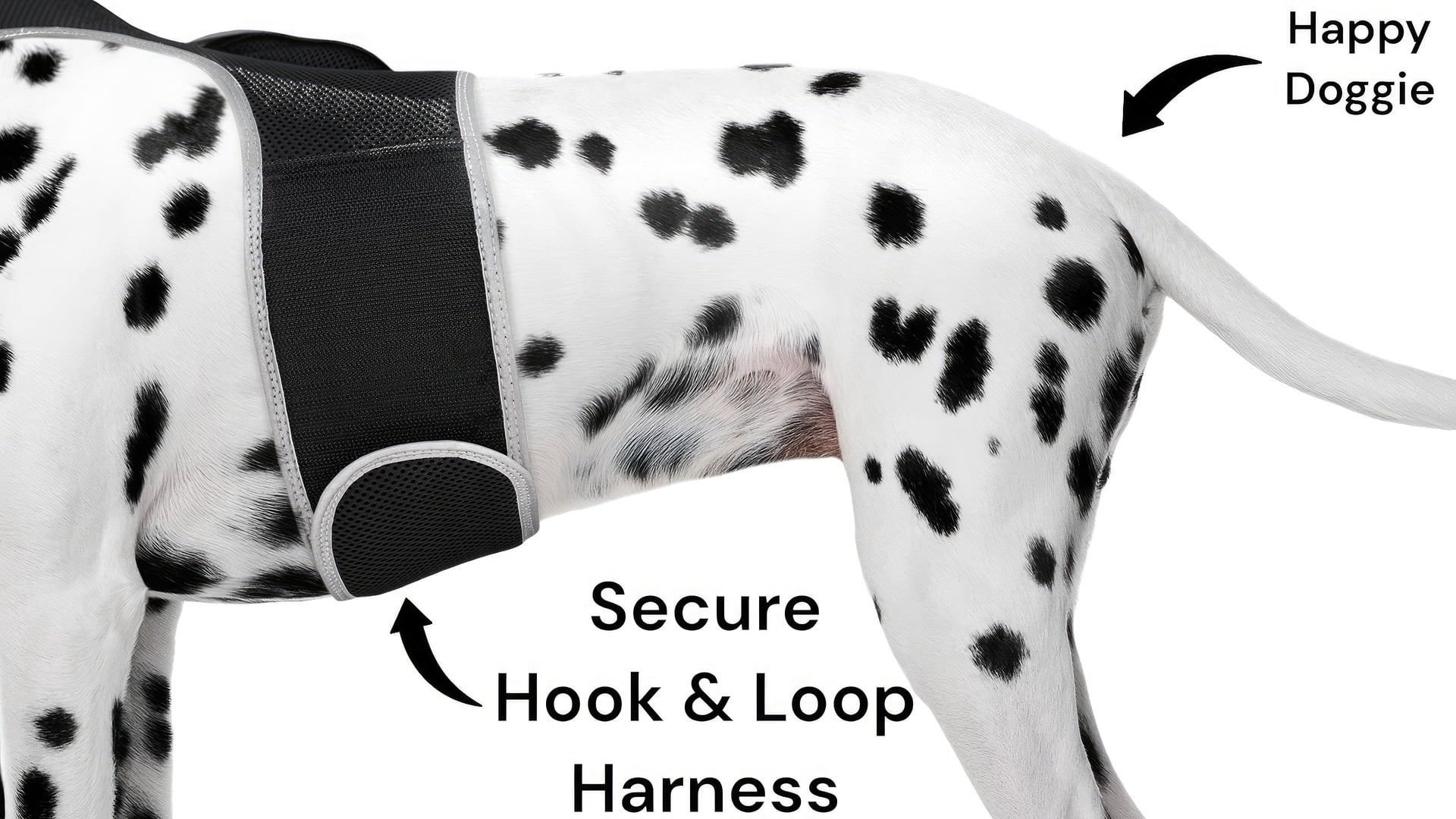 Waterproof Pet Tracker GPS GSM Collar Tracking Device for Your Dog/Cat Size:XL