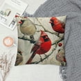 thumbnail image 2 of Awypu Farmhouse Red Bird Throw Pillow Covers Vintage Animals Rustic Pillow Cases Square&nbsp;Cardinal Print Cushion Cover Outdoor Decor Sofa Couch (Birds) 20x20in, 2 of 5