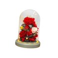 thumbnail image 1 of Flores Decoración de la cubierta de vidrio, regalo de la madre, flores preservadas con base, regalos románticos de amor flores preservadas rojo BLESIY Flores Preservadas, 1 of 8
