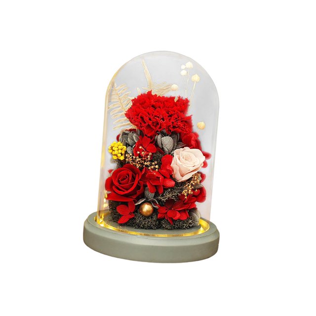 Flores Decoración de la cubierta de vidrio, regalo de la madre, flores preservadas con base, regalos románticos de amor flores preservadas rojo BLESIY Flores Preservadas