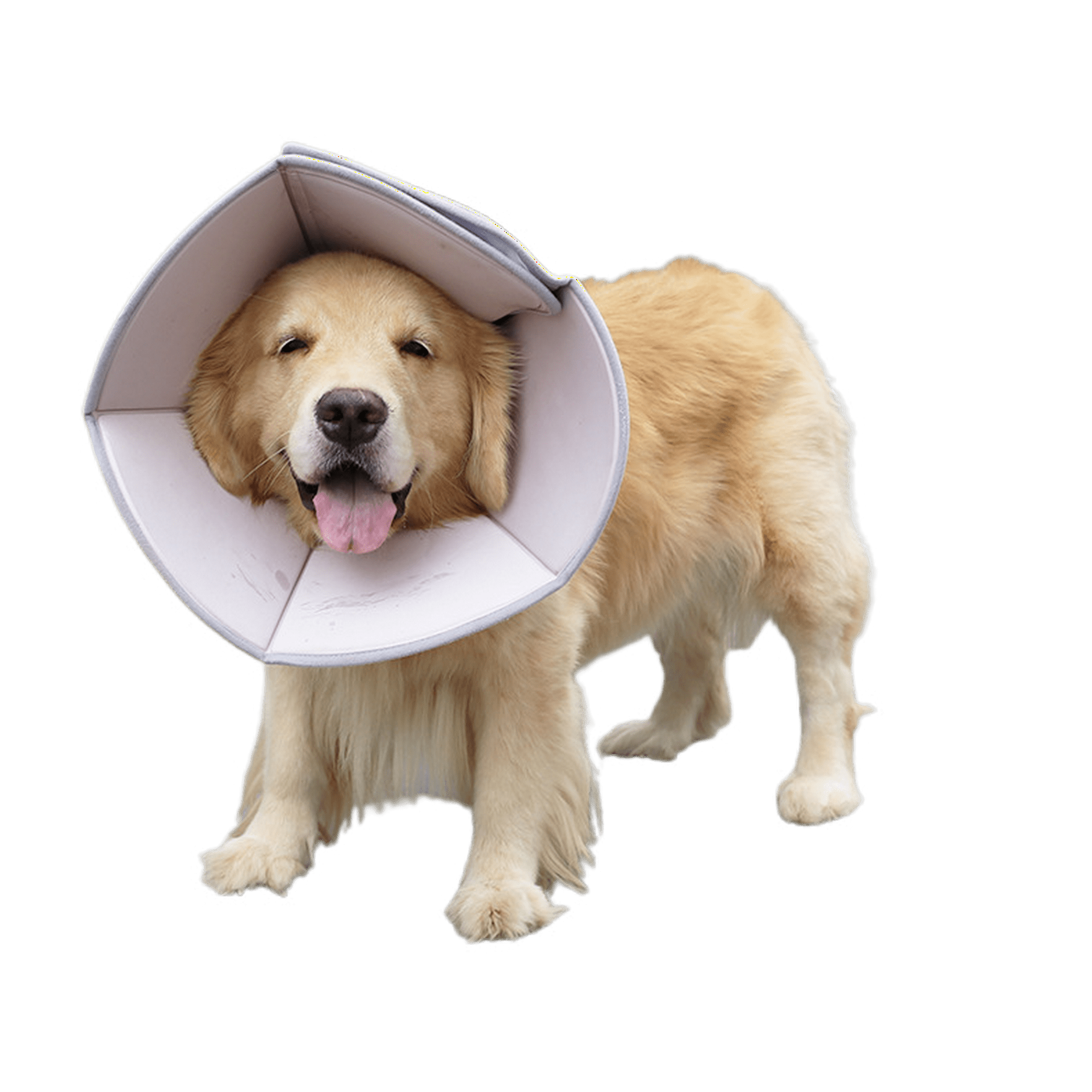 Dog Cones Soft Cone for Dog Cat After Surgery Pet Neuter Recovery Collar Cone for Large Medium Small Dog Anti Bite Lick Scratch Wound Healing Safety