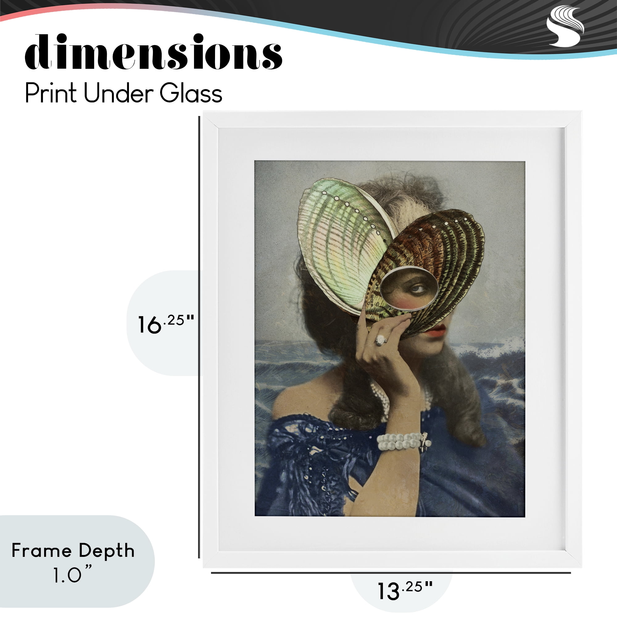 Stupell Industries Portrait of Naturalist White Framed Print Under Glass, design by Victoria Barnes