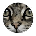 thumbnail image 4 of BANET Fitted Round Tablecloth Gray Cat, Kitten face Head White Table Cover,Elastic Edged Table Cloth Fits Round Tables 31"-35, 4 of 8