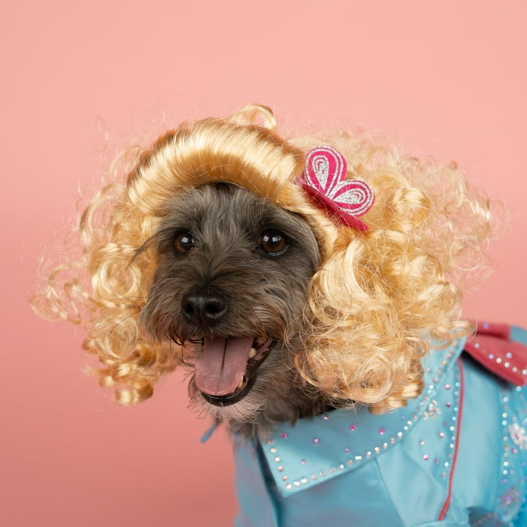 Doggy Parton, Dog and Cat Clothes, Western Rhinestone Tutu Pet Dress, Blue,  Small - Walmart.com