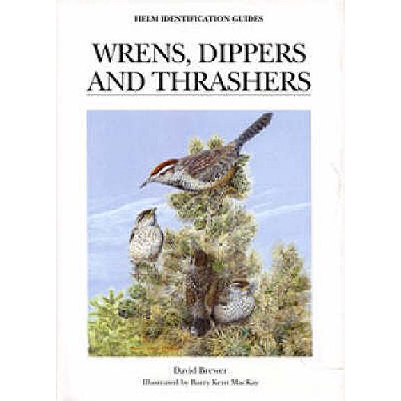 Helm Identification Guides: Wrens, Dippers and Thrashers (Hardcover)