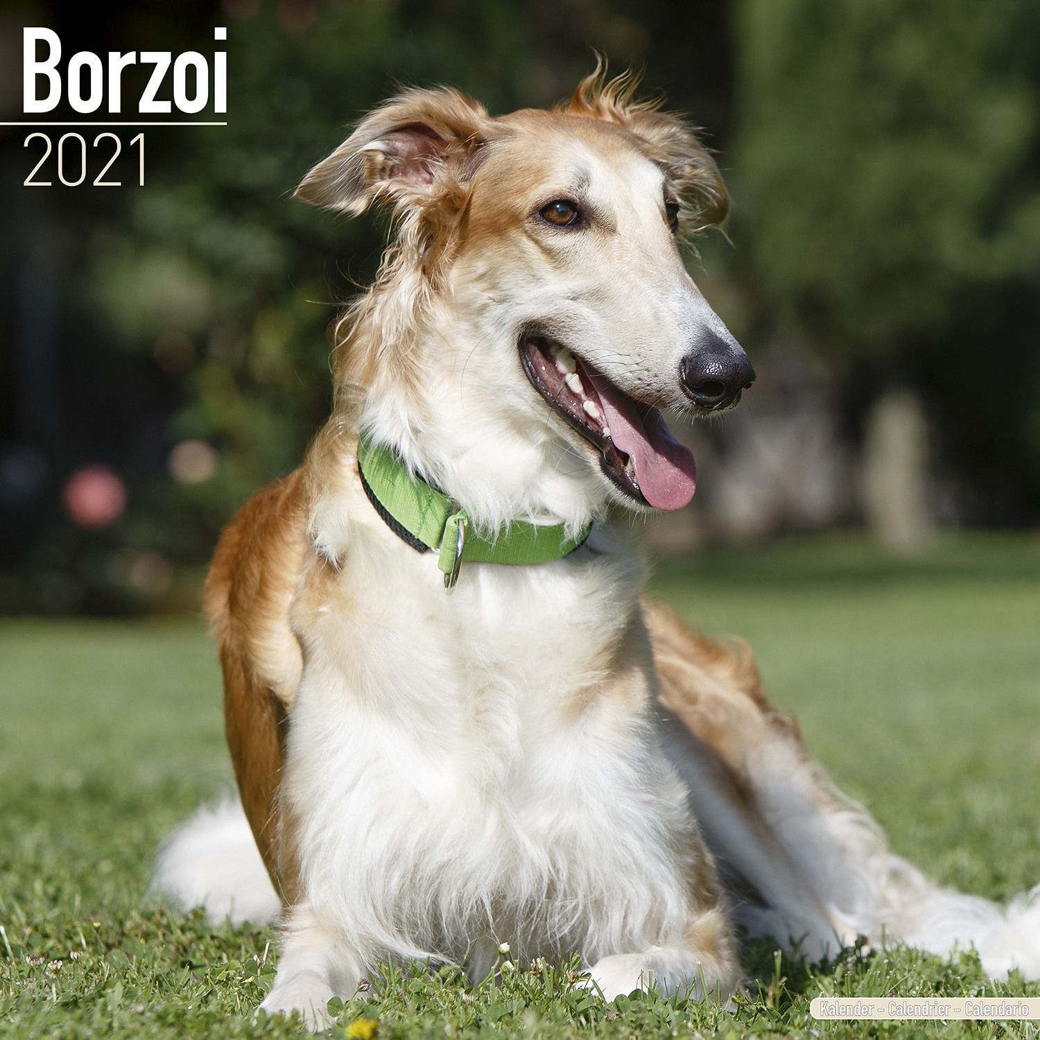 borzoi plush