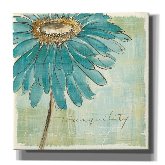 Epic Graffiti 'Spa Daisies III' by Chris Paschke, Canvas Wall Art, 26"x26"