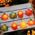 thumbnail image 5 of Dongrere Fall Decorative Light String Fall Lights with Acorn Maple Leaf Pumpkin Fall Decor for Bedroom Window Garden, 5 of 6