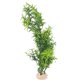 thumbnail image 3 of KAKOWELY Decoración de plantas falsas para acuario, simulación realista, árbol pequeño, accesorio de paisajismo para pecera, 3 of 4