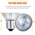 thumbnail image 2 of Bombilla UVB para reptiles Fischuel, 50 W, 2 unidades, para terrario, 110 V, 2 of 6