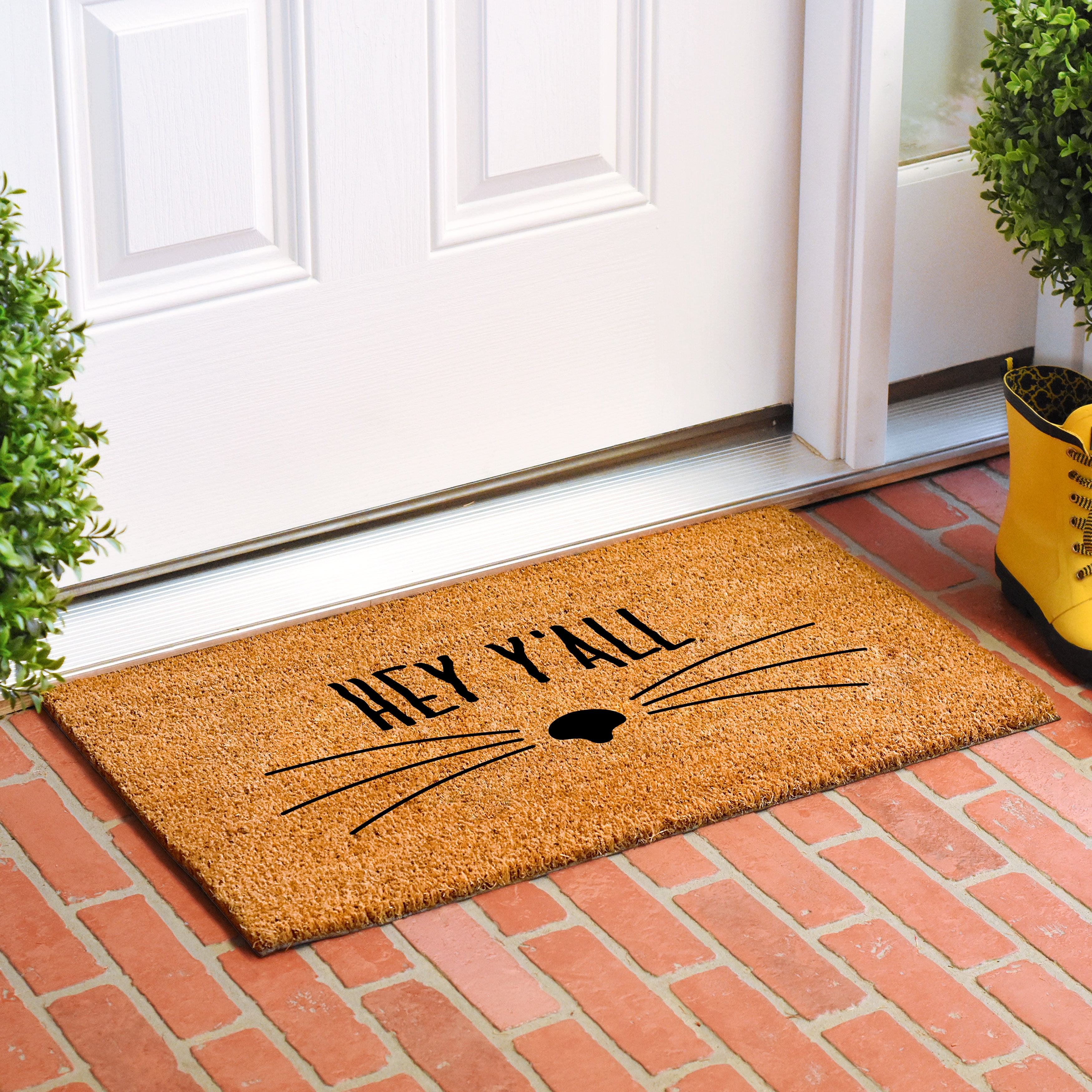Calloway Mills 108693672 Hey Yall Whiskers Doormat, 36" x 72"