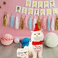 thumbnail image 4 of KANG Birthday Party Hat Bibs Scarf And Cat, 4 of 7
