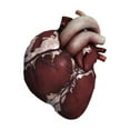 thumbnail image 2 of Three dimensional view of human heart  front Poster Print, 2 of 2