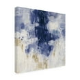 thumbnail image 2 of Trademark Fine Art 'Indigo Rain' Canvas Art by Silvia Vassileva, 2 of 4