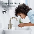 thumbnail image 4 of WB-39035BN Celestine Centerset Bathroom Faucet with Drain Assembly, 2-handle Bathroom Sink Faucet, 4 of 5