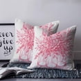 thumbnail image 2 of 24x24 Pillow Covers Set of 2, Eucalyptus Pink Throw Pillow Covers Decorative Couch Cushion Case, Vintage Bottle Succulents Flower Stripes Microfiber Square Pillowcases for Bedroom Car Living Room, 2 of 7