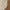 Dark Tan, variant on Aetrex Women's Brooklyn Weather Mid-Calf Lace Up Fur Winter Boots for Women