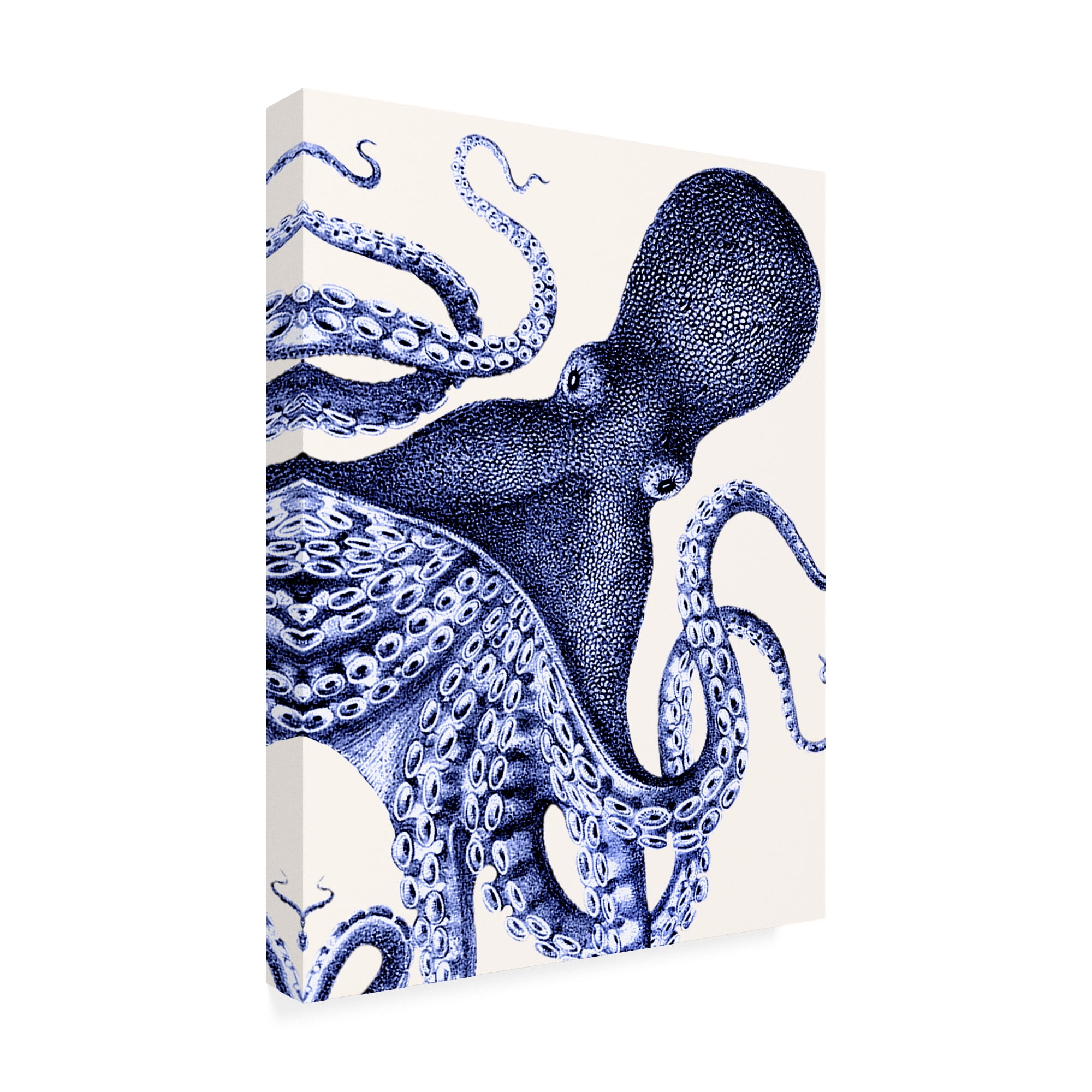 Trademark Fine Art 'Landscape Blue Octopus' Canvas Art by Fab Funky
