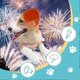 thumbnail image 3 of Dog Earmuffs for Hearing Protection Dog Noise Cancelling Ear Muff Dog Noise Protection Headphone Pi-Good, 3 of 5