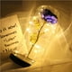 thumbnail image 5 of Naiovety Rosa eterna LED con cúpula de cristal Flor de lámina de oro de 24 quilates y una de cuento de hadas Regalo de San Valentín Almacenamiento y organización del hogar Naiovety HA023427-00, 5 of 6