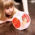 thumbnail image 5 of Hamster Exercise Ball Mini Fashion Plastic Running Toy Small Pet Jogging Training Activity Ball Toy for Hamster Gerbil, 5 of 5