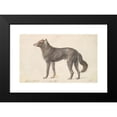 thumbnail image 2 of Charles Hamilton Smith 24x17 Black Modern Framed Museum Art Print Titled - Black Wolf (1837), 2 of 5