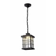 thumbnail image 1 of Elitco Lighting OD1002 7.5W LED Outdoor Hang - Black, 1 of 1