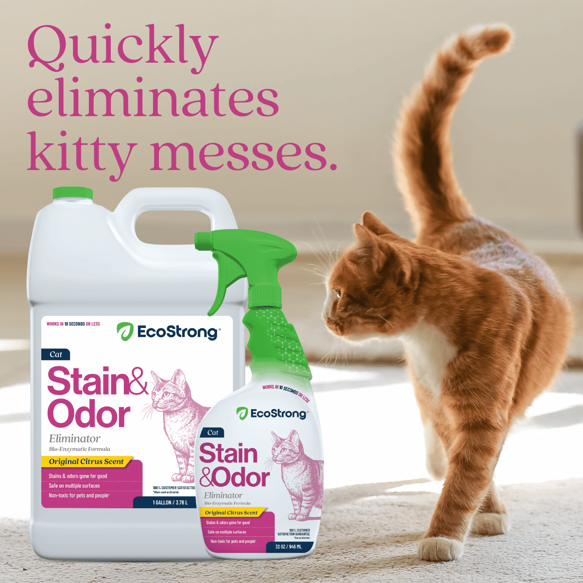 Cat Stain and Odor Remover: Enzyme Urine Odor Neutralizer - Stain Remover (32 oz and 1 Gallon)